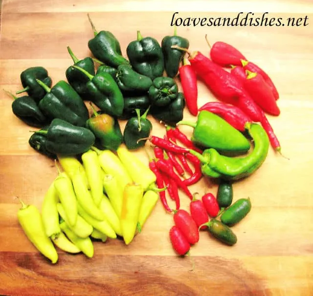 5 Minute Prep • How to Freeze ALL Peppers • Loaves and Dishes