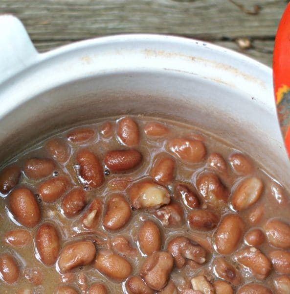 Can I Use Pinto Beans In White Chili at Ben Pitre blog