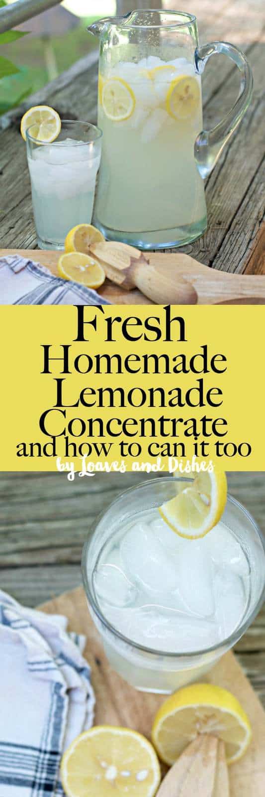 FRESH HOMEMADE LEMONADE CONCENTRATE • Loaves and Dishes