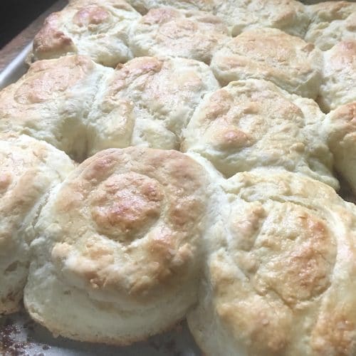 THE SECRET TO PERFECT SOUTHERN BISCUITS • Loaves and Dishes