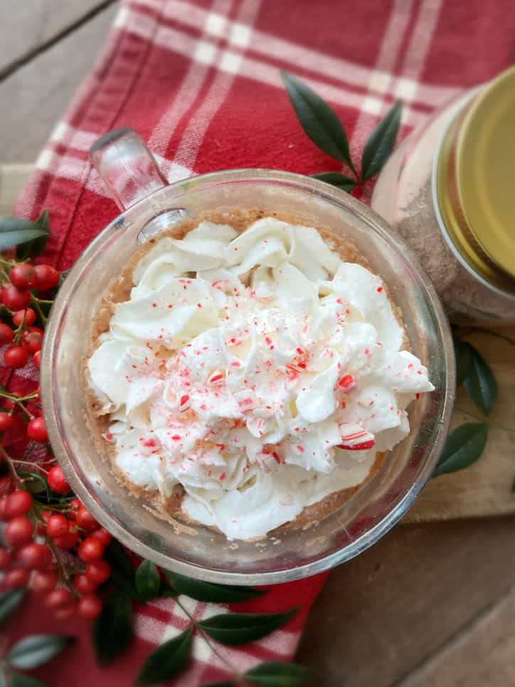 cup of hot chocolate with whipped cream on top